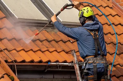 Démoussage et hydrofuge de toiture à Ausseing